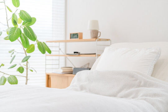 Nursing care bed, electric reclining bed in the living room