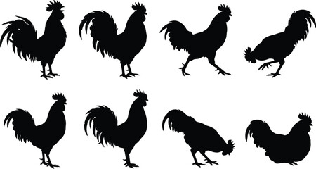 Rooster silhouettes set featuring crowing standing walking peck soil bending forward and resting cockerel vector icons © MdAsikul