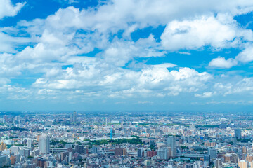 Fototapeta premium 夏空の東京風景