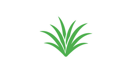 Fototapeta premium Simple green plant leaves on a white background with a minimalist composition and calming natural mood.