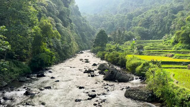 Ciwidey, Bandung, West Java - Indonesia: May 30, 2026 : A river with clear water and a bed of stones, set against a backdrop of rice fields surrounded by mountain forests.