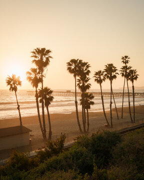 The pier and palm trees at sunset in San Clemente, California