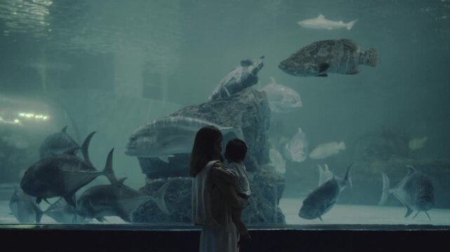 Asian mother holding her baby boy, watching big fish swimming in a giant aquarium tank.
