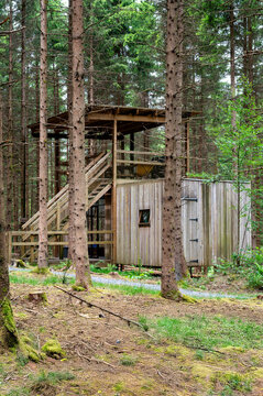 Secluded wooden glamping cabin raised on stilts with an external staircase among tall conifers in a dense forest. An off-grid nature retreat that evokes slow travel digital detox and sustainable