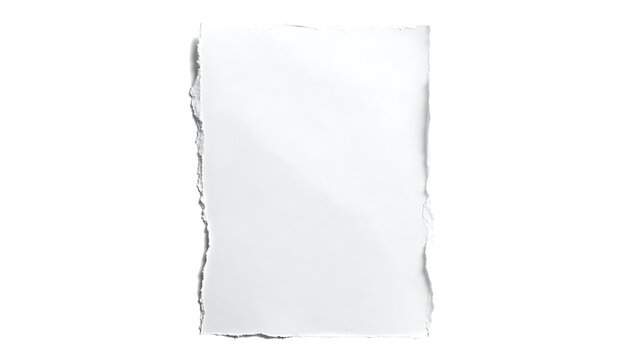 Isolated torn piece of white paper with ragged deckle edges, parchment texture, blank page for mockup and typography