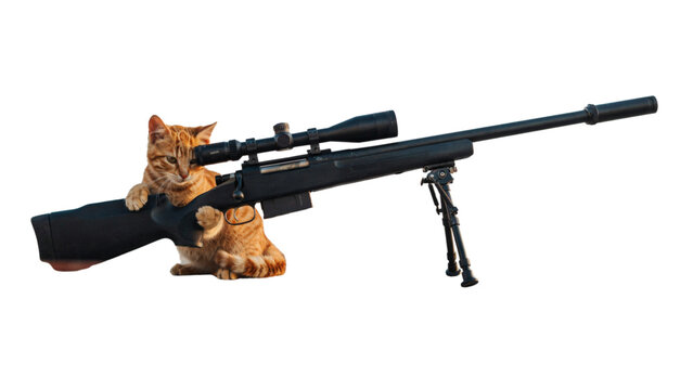 Modern rifle with wooden stock on display Vector