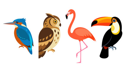 Obraz premium Set of colorful wild birds including kingfisher, brown owl, pink flamingo, and tropical toucan illustrations isolated on white background