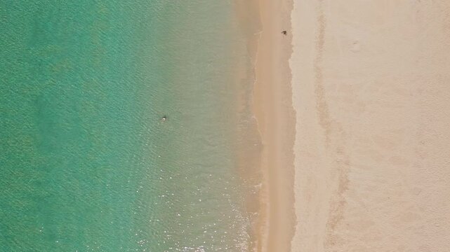 Aerial top down view tropical beach, people swimming and relaxing in clear turquoise ocean water along the golden sandy shoreline, gentle waves breaking the shore. Summer travel, vacation background