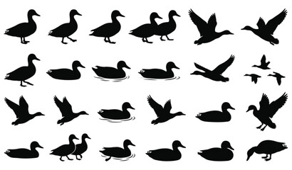Fototapeta premium Duck Silhouette Set with Various Poses Vector Illustration