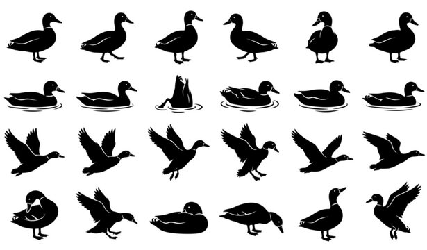 Black Duck Silhouettes Collection Wildlife Bird Vector Set