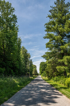 Vertical color photo of a long country road lined by trees in the summer with a bright blue sky