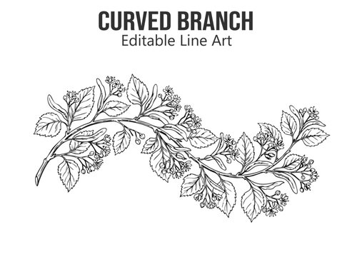 Curved branch line art with leaves and blossoms, hand drawn botanical line art vector illustration