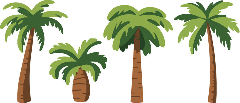 Palm tree landscape planting plan