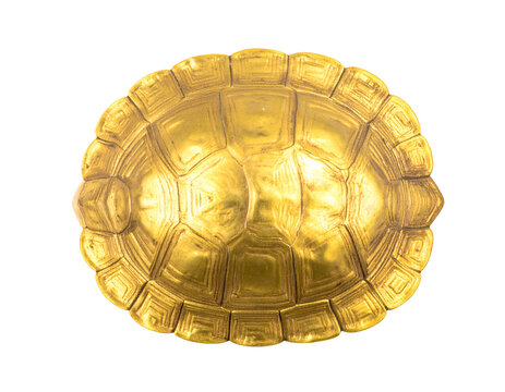 Golden turtle shell sculpture top view with metallic carved pattern, luxury tortoise carapace ornament on isolated background