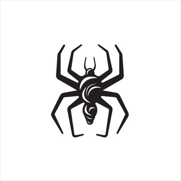 forest black spider