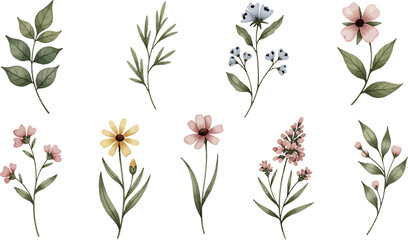Naklejka premium Watercolor wildflower collection with various floral stems and green leaves for wedding stationery and botanical design projects