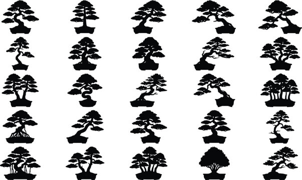 Black silhouettes of bonsai trees on white background, various shapes and sizes tree shapes potted plants