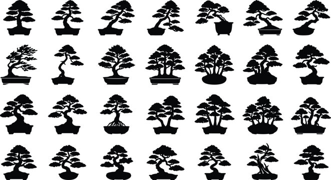 Black silhouettes of bonsai trees on white background, various shapes and sizes tree shapes potted plants