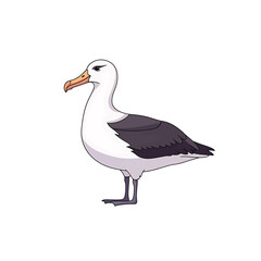 Obraz premium Large white bird with black wings.