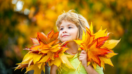 Fototapeta premium Autumn portrait with yellow leaves. Autumn portrait of smiling child. Outdoor autumn portrait with bouquet. Closeup autumn portrait near foliage.
