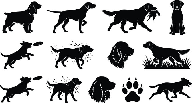 Hunting Dog and Retriever Silhouette Icon Set Featuring Breeds in Action Catching Prey Running Jumping Shaking Water and Paw Print Graphics