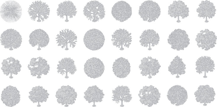 Landscape Architecture Tree Plan View Vector Elements