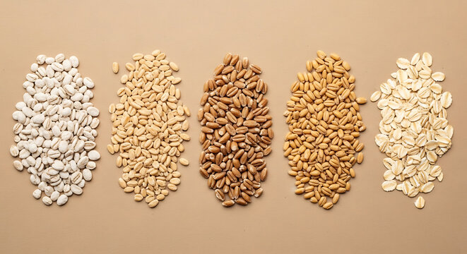 Five piles of assorted raw grains, including wheat, rye, and oats on a beige background