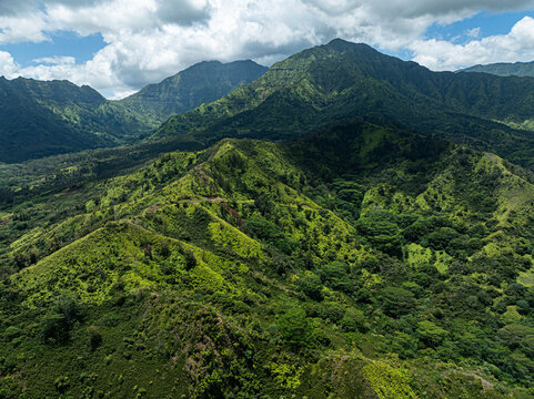 The island of Kaua'i of Hawaii. Mountain range and backdrop to the Hanalei Bay