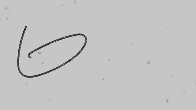 Doodle Noise on Old Damaged Film Animation. Authentic Retro Film Damage, Grain, Dust, Scratches, Hand Drawn Overlay, and Cinematic Texture