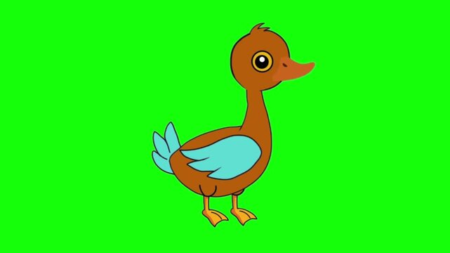 Cute Brown Cartoon Duck Talking Animation Cycle Green Screen
