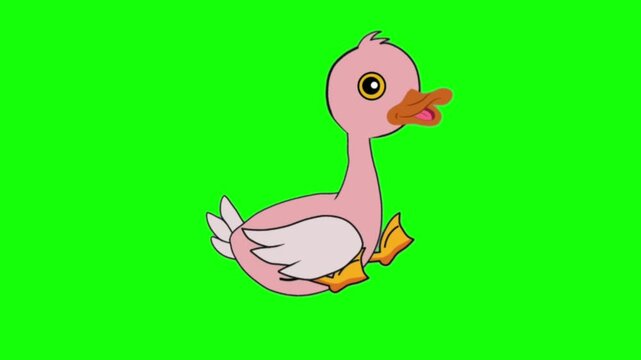 Cute Cartoon Duck Sitting and Talking Animation Green Screen Character
