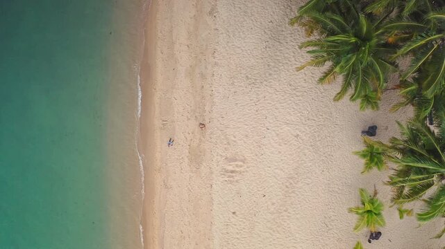 Sandy beach with people walking and relaxing, clear turquoise ocean, lush green palm trees creating ideal setting for relaxation and tropical holidays on a sunny day. Travel background, top down view