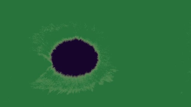 White border and black hole in the middle of screen flower isolated on green screen background