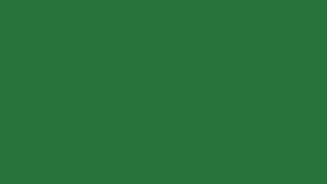 An image of a with white background and bird flying in the sky on cat it this is arrow isolated on green screen background