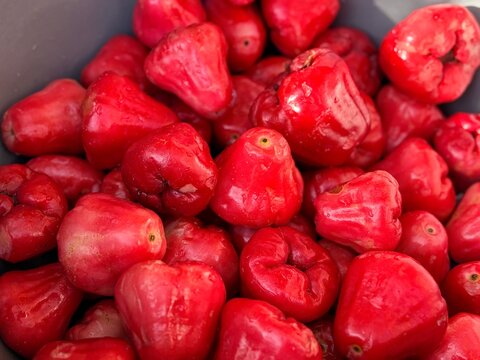 Freshly Harvested Vibrant Red Rose Apples: Sweet, Juicy Tropical Fruit Pile for Healthy Eating and Refreshment