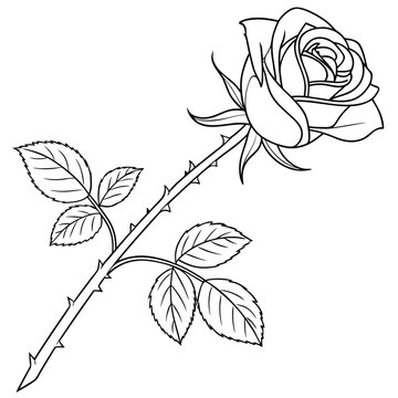 rose flower single line art copy 01