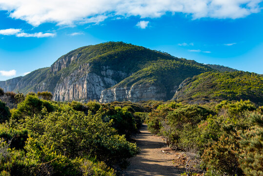 Walking Track in Cape Raoul - Tasmania