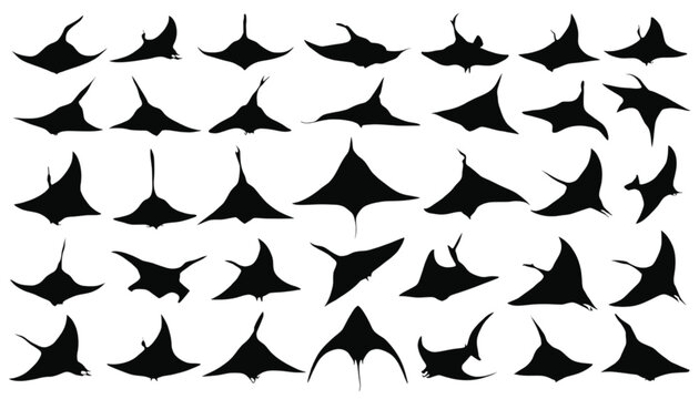 Manta rays are depicted in this comprehensive collection of black silhouettes that showcase the diverse swimming poses and graceful movements of these large marine creatures against a white.