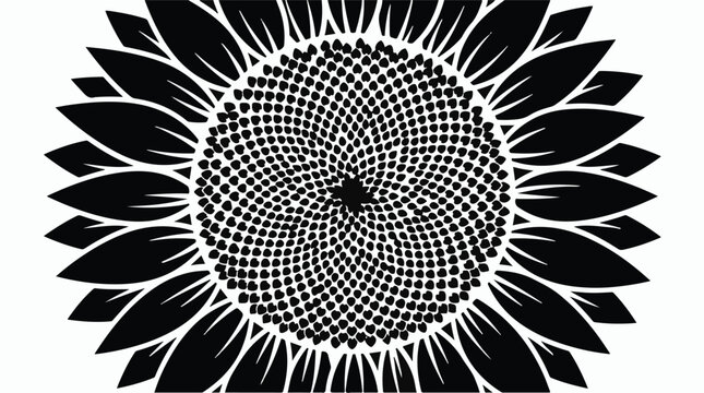Sunflower head silhouette isolated on white background macro floral vector illustration