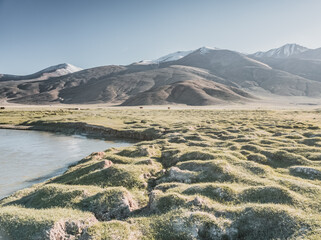 Clear-water rivers and lakes in a mountain valley, pastures and green grassy fields set against mountain ranges and snow-capped, glacier-clad peaks—a scenic landscape background © Denis