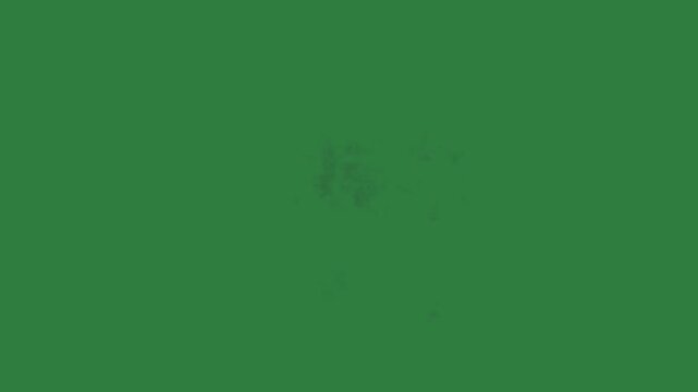 White circle and cloud of smoke coming out background isolated on green screen background