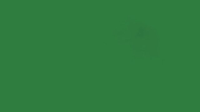 Smoke on cloud is floating black dog jumping in the air of middle isolated on green screen background