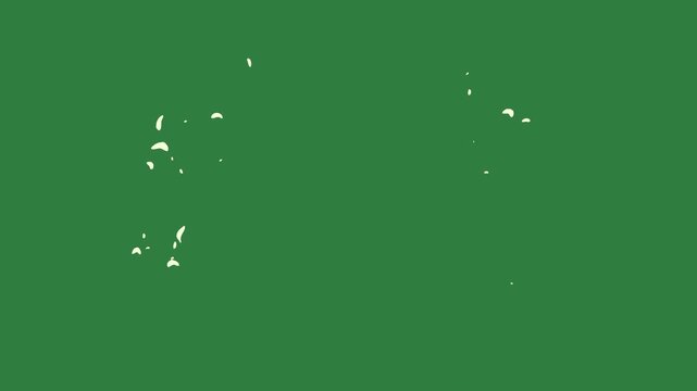 Spots cat black ' s head dots bird two silhouettes isolated on green screen background