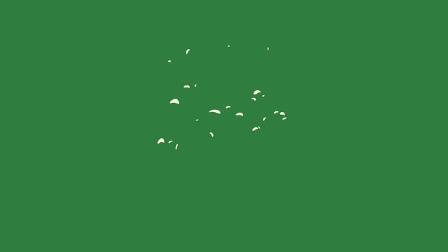 Dog head on birds flying clock it silhouette person dove isolated on green screen background
