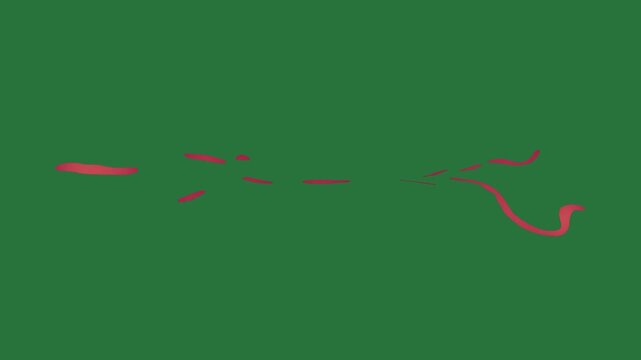White border and silhouette of man diving group birds flying in the sky bird over screen red line two isolated on green screen background