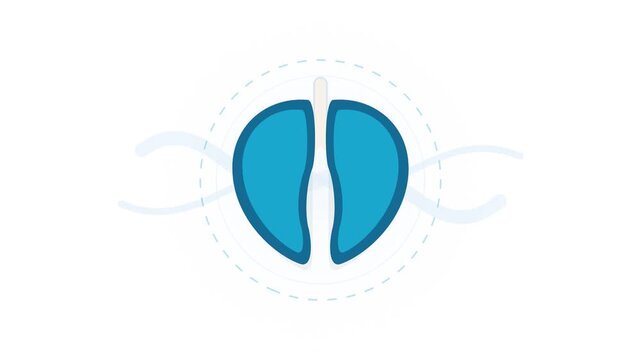 Minimalist blue human lungs illustration representing healthy breathing and respiration