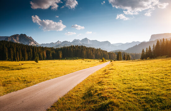 An alpine road leading into the distance to the peaks. Location place National park Durmitor, Montenegro, Europe.