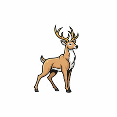 Obraz premium Majestic male deer with large antlers standing alert.