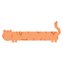 Long ginger tabby cat text box frame banner © BlackGroundMeYou 