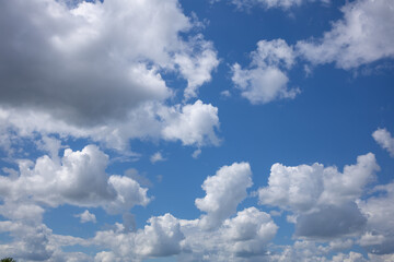 Obraz premium Panoramic View of Blue Sky with Impressive Cumulus Cloudscape. Beautiful dramatic blue sky with large white cumulus clouds before summer rain. Natural cloudscape with dynamic formations